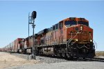 Intermodal cruises east